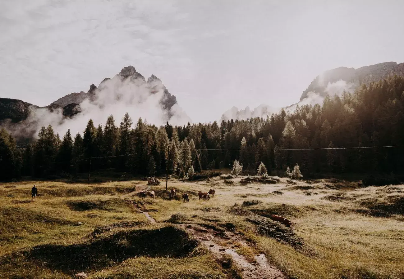 matrimonio dolomiti