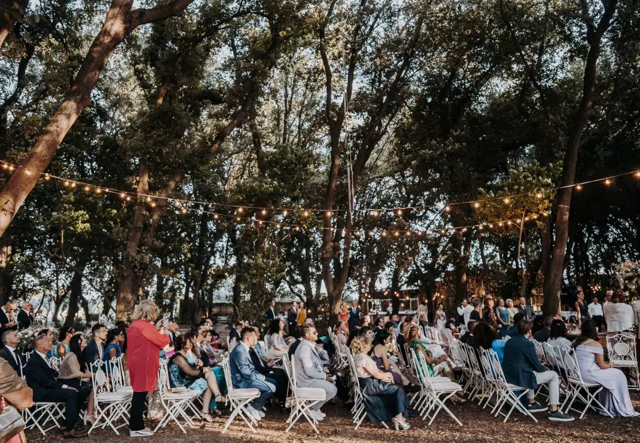 Wedding in the Woods