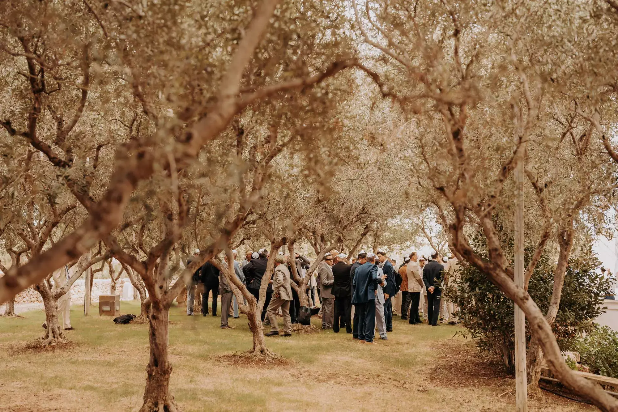 masseria alchimie