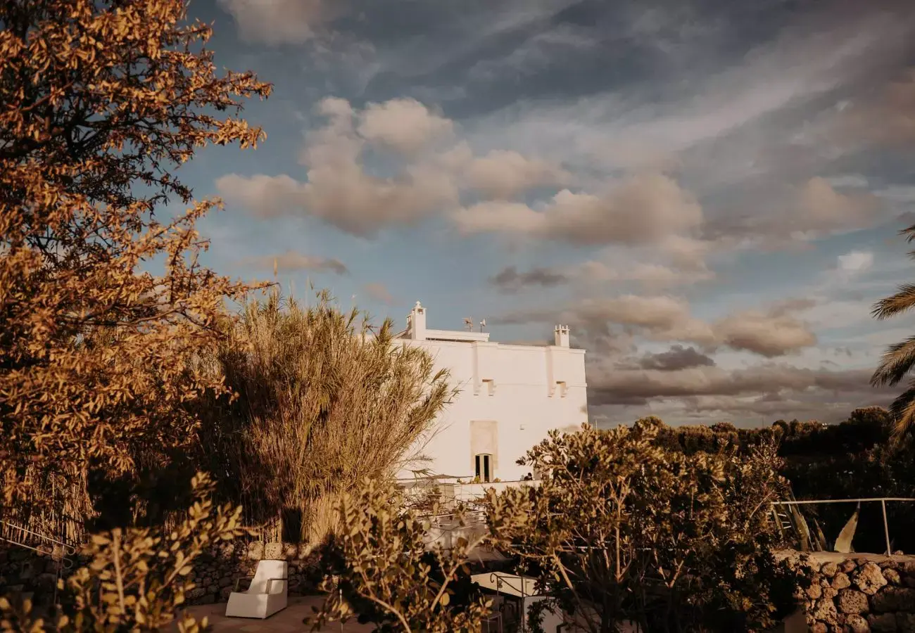 masseria alchimia