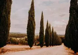 borgo-argiano16_original