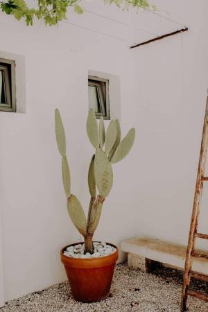 engagement-session-masseria-moroseta-ostuni-3-_original