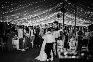 civil-ceremony-at-the-palme-beach-club115_original