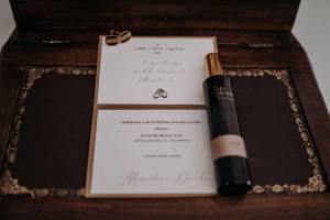 civil-ceremony-at-the-palme-beach-club1_original