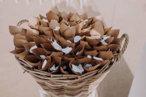 civil-ceremony-at-the-palme-beach-club38_original