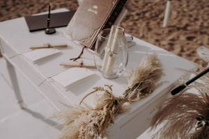 civil-ceremony-at-the-palme-beach-club41_original