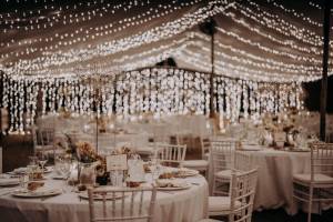 civil-ceremony-at-the-palme-beach-club99_original