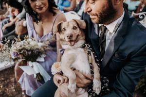 gay-wedding102_original