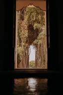masseria-san-paolo-grande00006_original