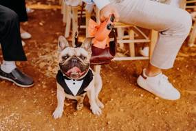 wedding-masseria-mozzone00050_original