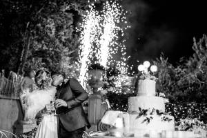 elegant-wedding-parco-la-serra27_original
