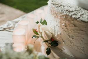 elegant-wedding-parco-la-serra83_original