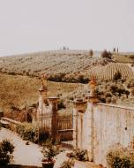 villa-corsini-a-mezzomonte35_original