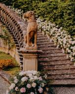 villa-palmieri19_original