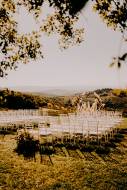 le-filigare-winery-accommodation24_original