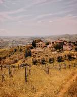 villa-medicea-di-lilliano25_original
